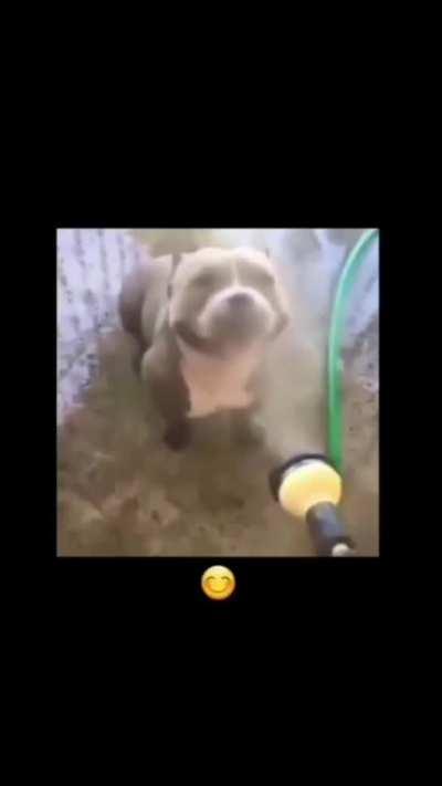 Just adding life to this subreddit