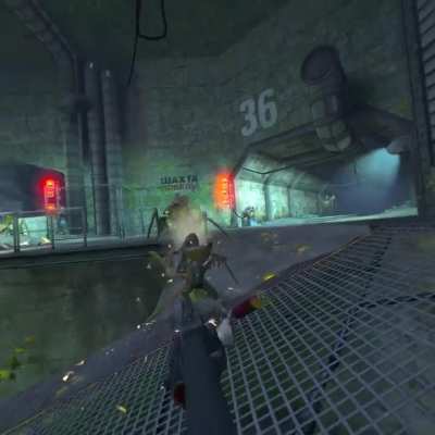 HL2 VR