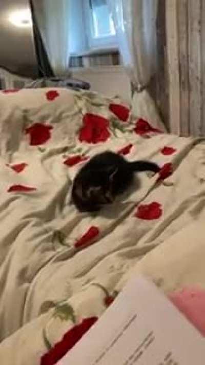 I think she is winning.