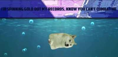 Le my ordinary life has arrived