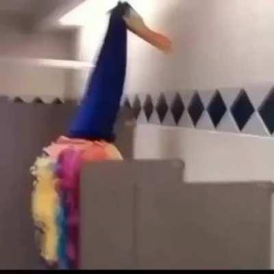 É muita coisa pra processar