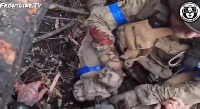 An American volunteer from the 