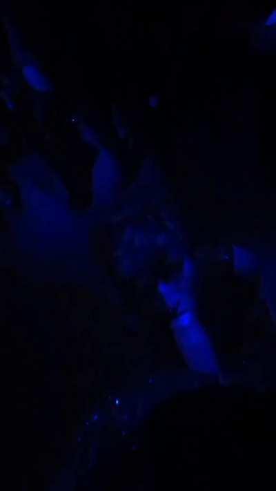 Sucking my dick in the middle of a night club. She put on a good sneaky show for everyone! [OC]