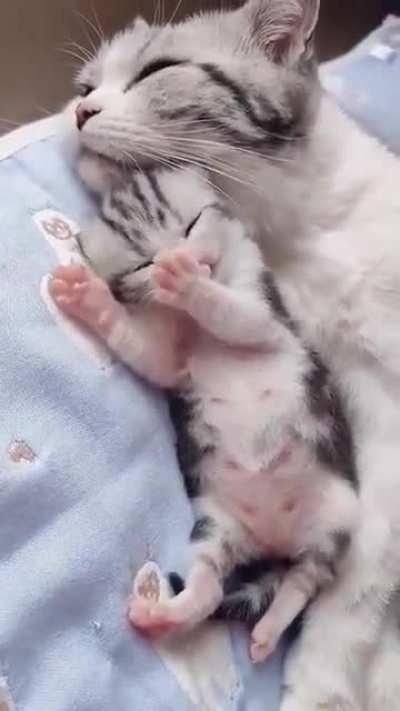 Smol bean as pacifier 🤩😘