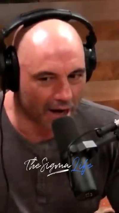 Indian World Cup campaign summarized.