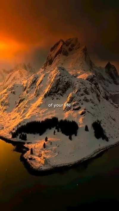 Live your life like a champion