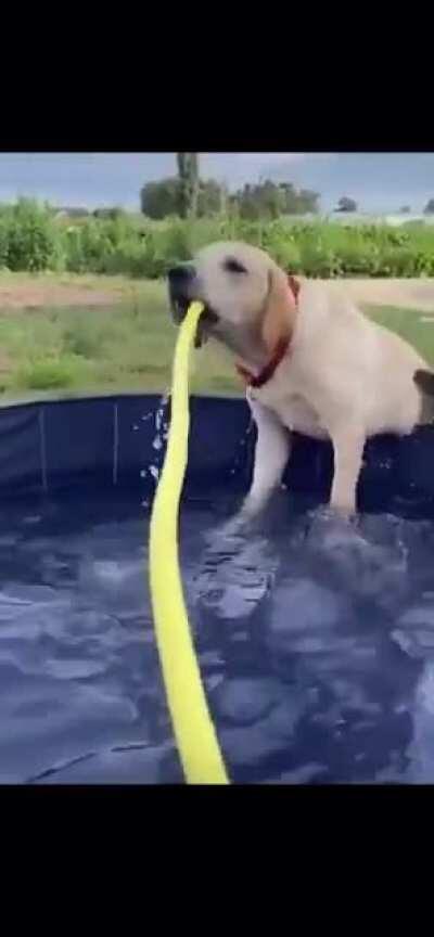 Such a graceful boy.