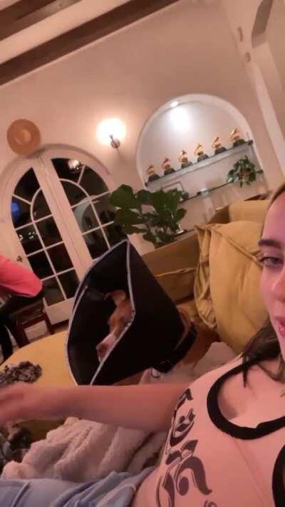 [Sexy] Slutty Billie Eilish slapping her tits on instagram [GIF]