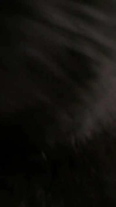 the laundry supervisor, a neighbor's cat who would 'splain me how to properly do the wash