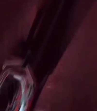 S K E L E T O N F A R T