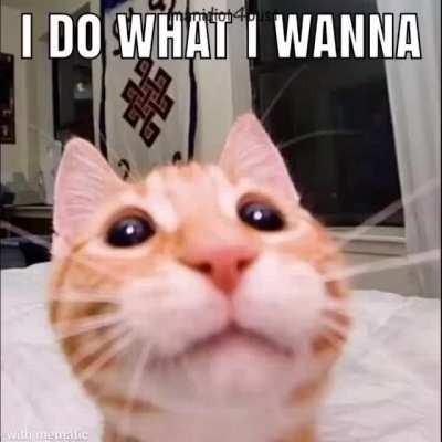 nice to meet ya, i'm a creeper *blows up*