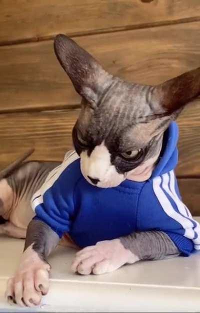 Absolutely beautiful