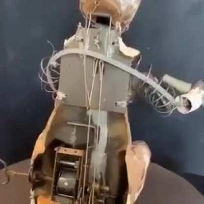 Белочка... она идет за тобой...