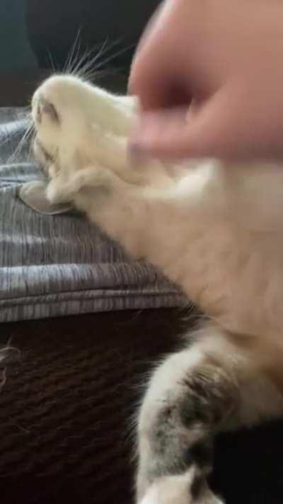 Why for you stop the scritches?