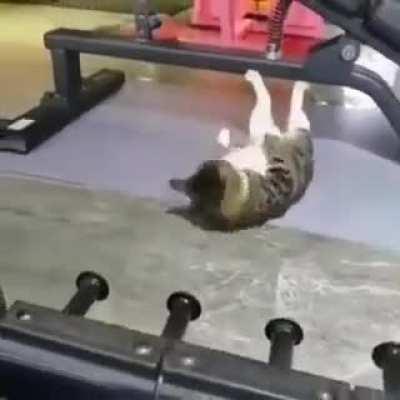 Which one of you filmed me without my permission