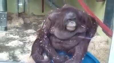 A Modern Shakespeare Tragedy