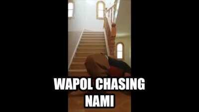 The ENTIRE Alabasta Saga in a nutshell