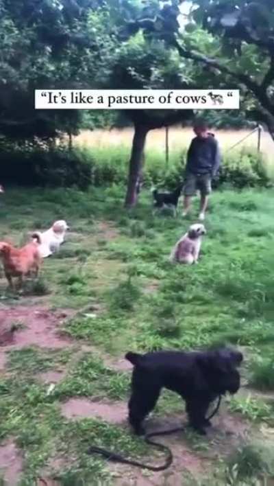 That’s just too cute to handle!