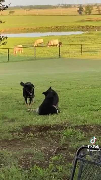 You will include me!