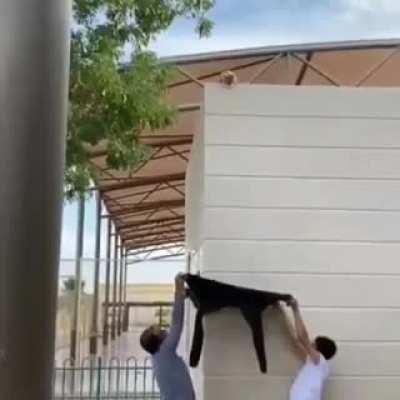 Rescue mission catculations