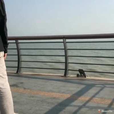 Trust me, it won't fall