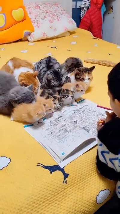 They are all fall asleep listening to the teacher