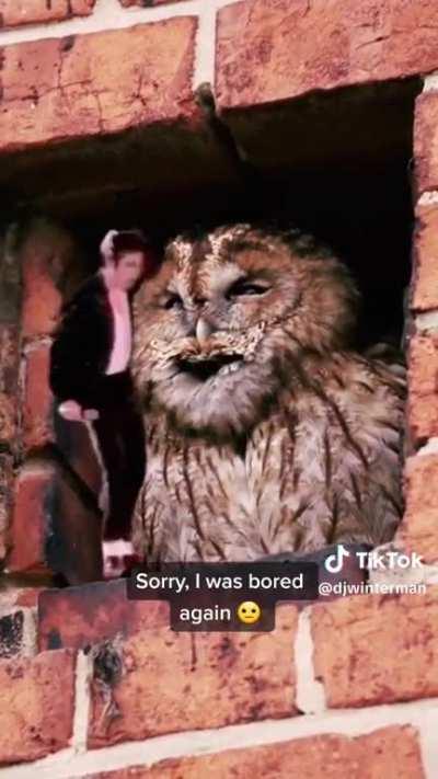 Nothing better than a Happy Ending.