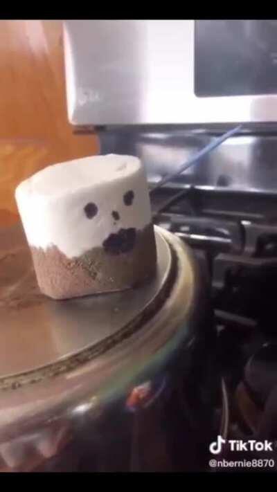 The best thing to come out of tiktok