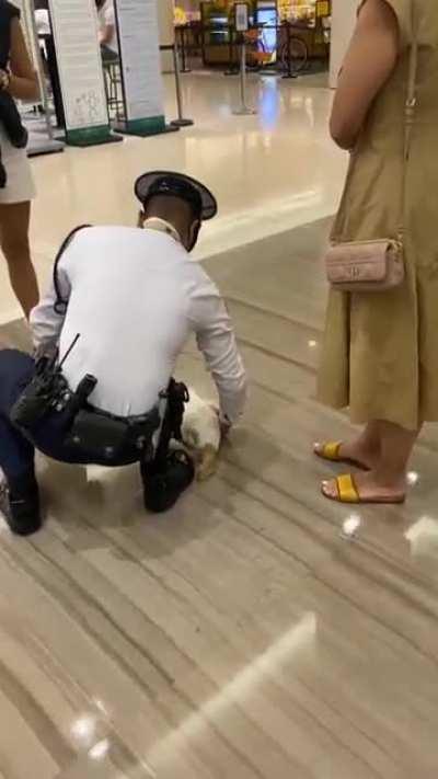 An interesting title