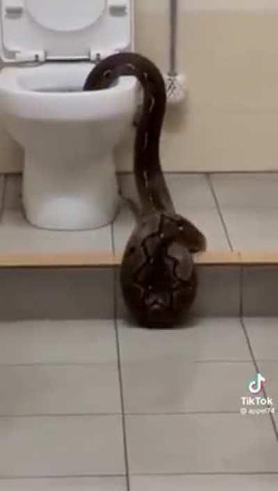 What would you do in this situation?