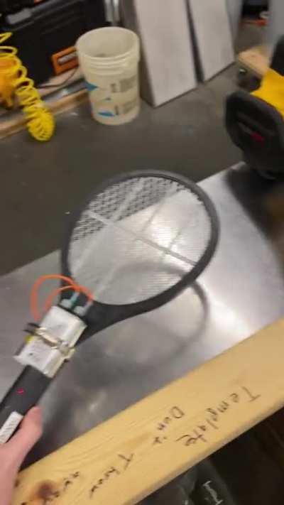 Shops mad scientist created something