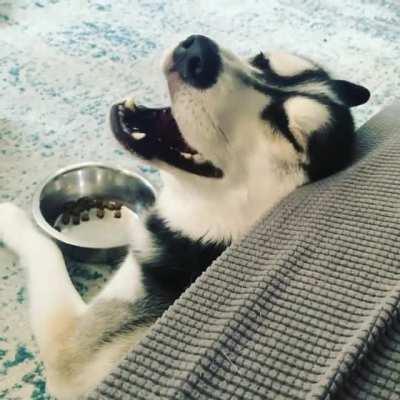 Always complaining about something…