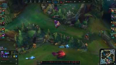 hooded man escapes from a wild K9