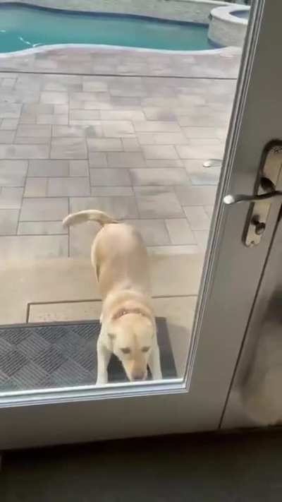 Happy to see the Chef