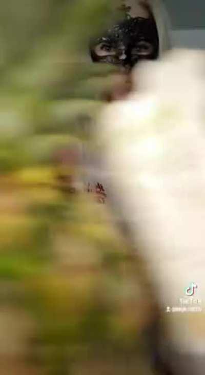 Finish all over me tonight [GIF]