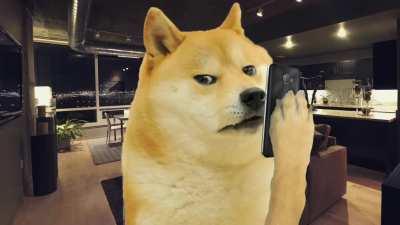 Le particular set of skills has arrived