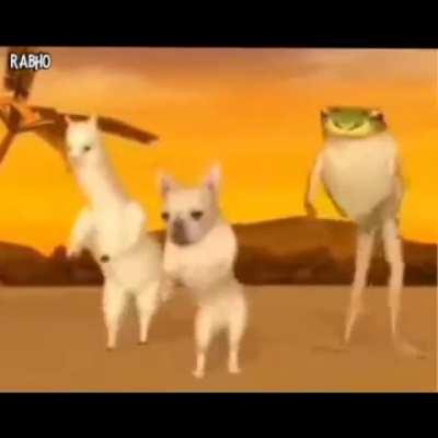 kya dekh rha hai loveday meme dekh