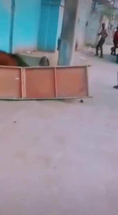 Saci Mendigo vs bode puto