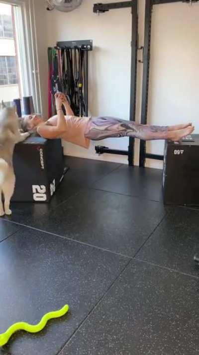 GirlsInaGif. China Plank