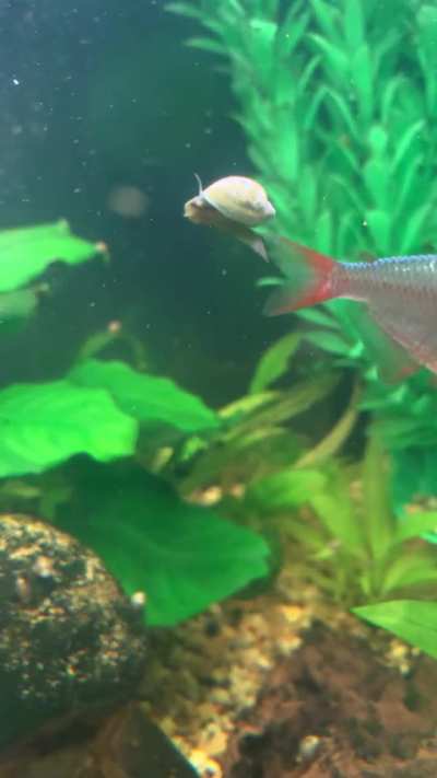 Little dude reached enlightenment