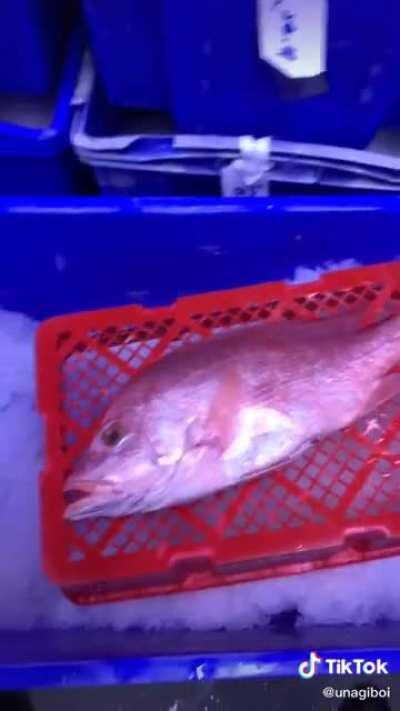 Okoyasu erasing a fish 1999 (colorized)