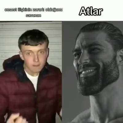 Seni norm*i ben kendi annemi sikiyorum 😎✌️😃