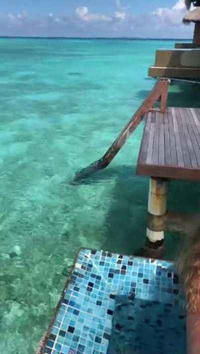 Honeymoon Sex Tape In Paradise-sex Vacations !!