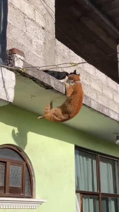 Core Mastery: Strength Unleashed.