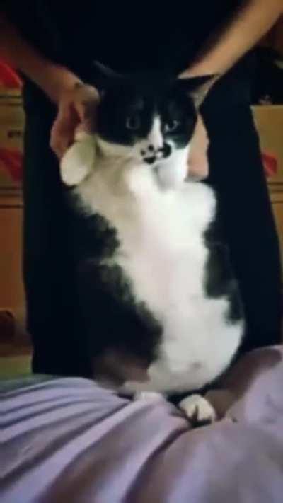 Wiggle wiggle wiggle