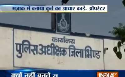 Bro made an Aadhar card for a dog