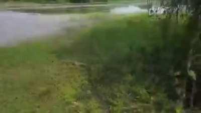 Hey dude, next time buy your fish from fishmonger