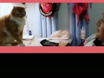 IF👏TIMMY👏HAS👏10👏APPLES👏AND👏EATS👏5👏HOW👏MANY👏APPLES👏DOES👏TIMMY👏HAVE👏LEFT