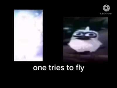 I have achieved comedy