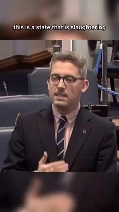 Irish senator calls to expell Israeli ambassador